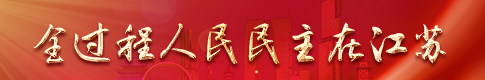 全过程人民民主.png