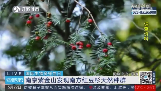 微信截图_20230523100409.png