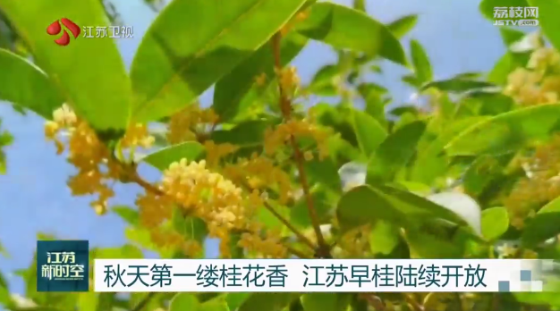 微信截图_20230914101005.png