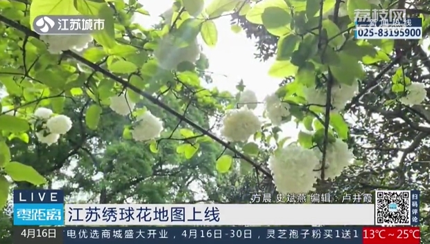 微信截图_20240417094703.png