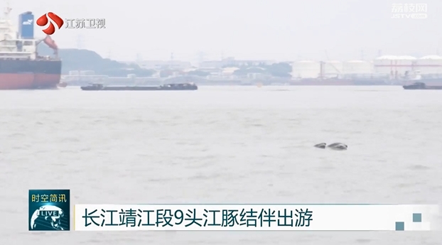 微信截图_20240611093123.png