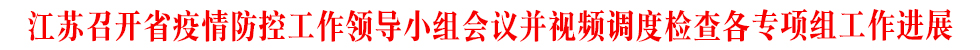 江苏召开省疫情防控工作领导小组会议并视频调度检查各专项组工作进展.jpg