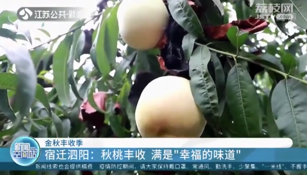 微信截图_20220930093858.png