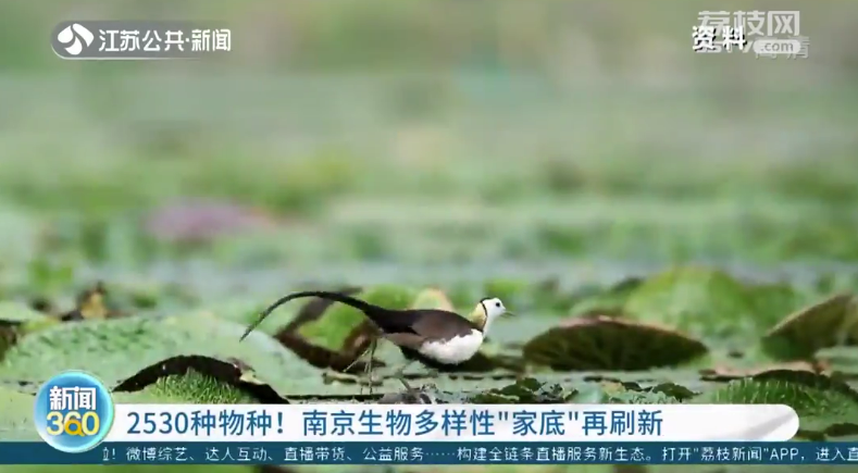 微信截图_20221202092711.png