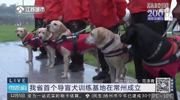 微信截图_20221206091835.png