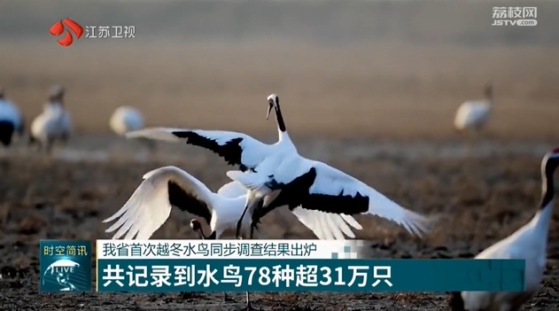 微信截图_20240229101037.png