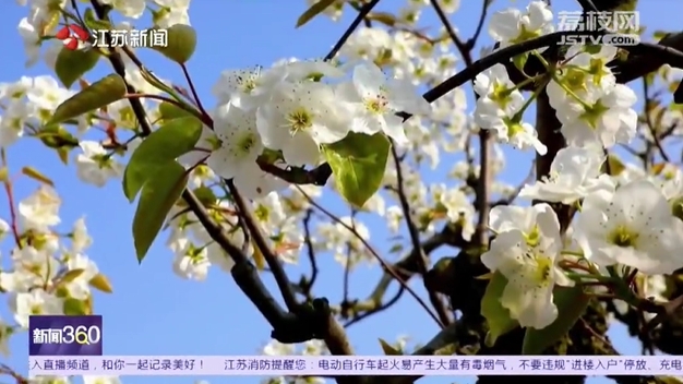 微信截图_20240403103539.png