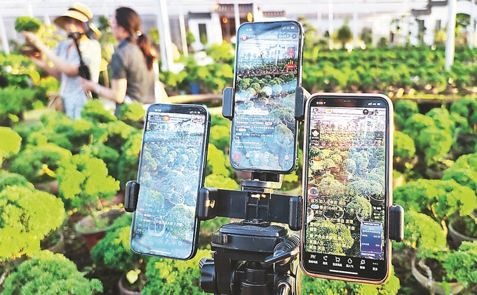 沭阳人口多少_中国县域常住人口排行榜:2县超200万,246县低于10万(2)